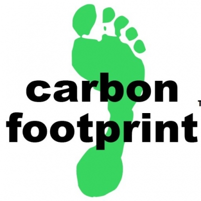 Carbon Offsetting